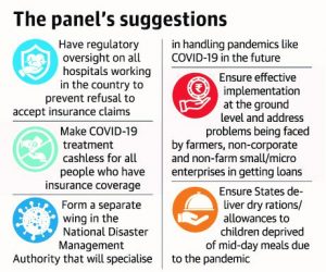 The Panel's Suggestions